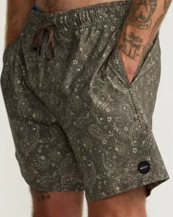 RVCA Boardshorts / Trunks|16