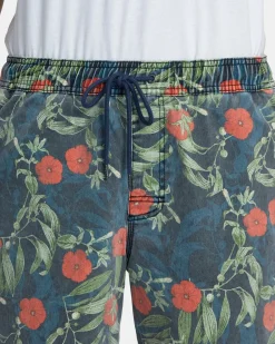 RVCA Shorts / Hybrids><noscript><img width=