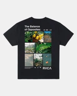 RVCA Tees / Tanks>TEXTBOOK TEE